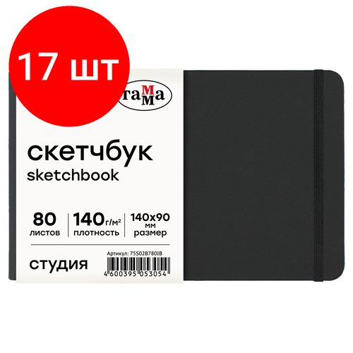 Комплект 17 шт, Скетчбук 80л, 140*90 Гамма 'Студия', черный, твердая обложка, на резинке, слоновая кость, 140г/м2